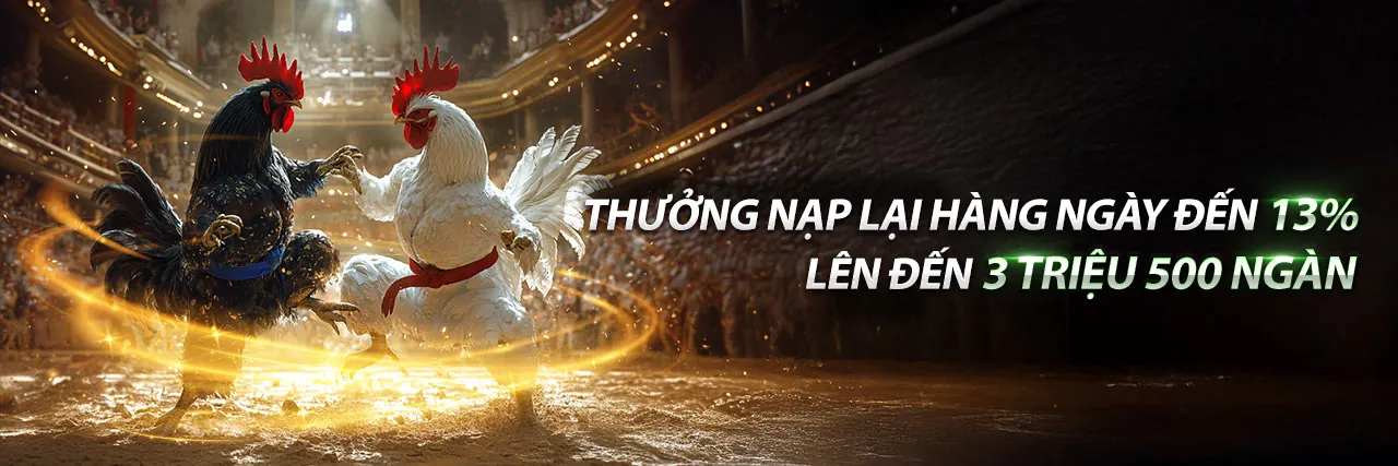 Đá gà trực tuyến 55win55