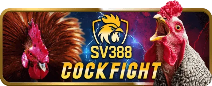 Cookie cần thiết cho chức năng website 55win55 login